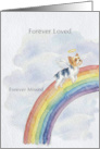 Biewer Terrier Rainbow Bridge Pet Sympathy card
