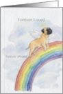 Bullmastiff Rainbow Bridge Pet Sympathy card