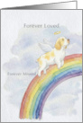 Clumber Spaniel Rainbow Bridge Pet Sympathy card