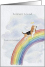 Basset Hound Rainbow Bridge Pet Sympathy card