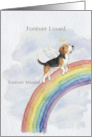 American Foxhound Rainbow Bridge Pet Sympathy card