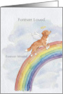 Duck Toller Rainbow Bridge Pet Sympathy card