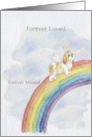 Shih Tzu Rainbow Bridge Pet Sympathy card