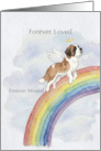 Saint Bernard Rainbow Bridge Pet Sympathy card