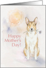 Mothers Day Card From Your Shorthaired Collie Dog card