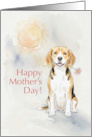 Mothers Day Card From Your Beagle Dog card