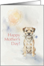 Mothers Day Card From Your Border Terrier Dog card