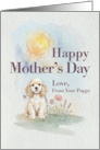 Mothers Day From Your American Cocker Spaniel Puppy and Flowers card