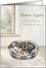 Home Again Safe at Home Because of You Bernedoodle Thank You card