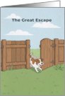 The Great Escape Funny Lost Dog Thank You Card