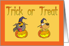 Trick or Treat Cat Dog Halloween Card