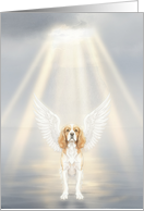 Always Remembered Sweet Friend