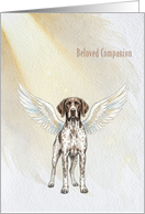 Beloved Companion German Shorthaired Pointer Sympathy