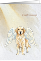 Beloved Companion Golden Retriever Sympathy