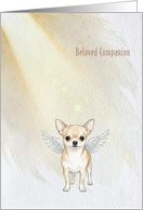 Beloved Companion Chihuahua Sympathy