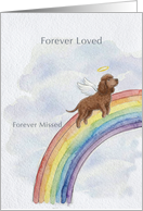 Irish Water Spaniel Rainbow Bridge Pet Sympathy