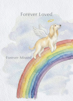 Afghan Hound Rainbow Bridge Pet Sympathy