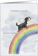 Appenzeller Sennenhund Rainbow Bridge Pet Sympathy card