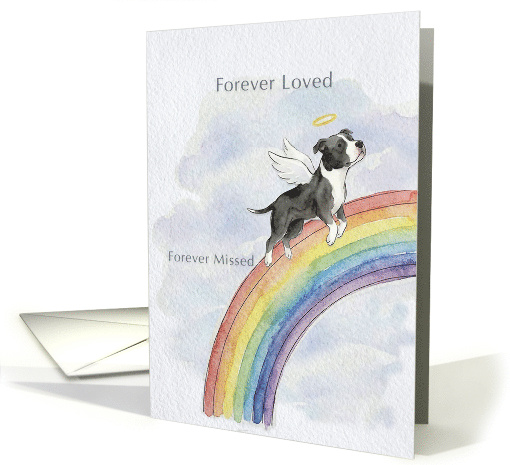 Black and White Pitbull Rainbow Bridge Pet Sympathy card (1972880)