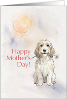 Mothers Day Card From Your Petit Basset Griffon Dog