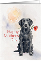Mothers Day Card From Your Black Labrador Dog