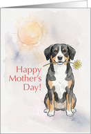 Mothers Day Card From Your Entlebucher Dog