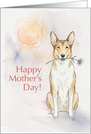 Mothers Day Card From Your Shorthaired Collie Dog