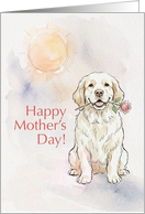 Mothers Day Card From Your Clumber Spaniel Dog
