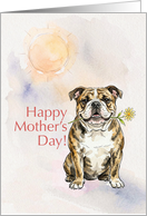 Mothers Day Card From Your Brindle Bulldog Dog