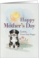 Mothers Day From Your Black Australian Shepherd Puppy and Flowers card
