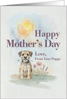 Mothers Day From Your Border Terrier Puppy and Flowers card
