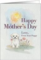Mothers Day From Your Maltese Puppy Dog and Flowers card