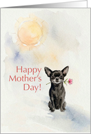 Mothers Day Card From Your Black Chihuahua card