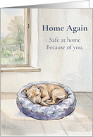 Home Again Safe at Home Because of You Pitbull Thank You card