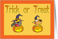 Trick or Treat Cat Dog Halloween Card