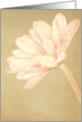 Forever card