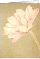 Forever card