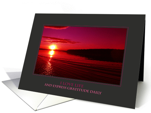 I Love Life and Express Gratitude Daily (Encouragement) card (915069)