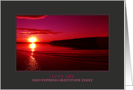 I Love Life and Express Gratitude Daily (Encouragement) card
