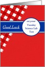 Test Good Luck, on Red Gingham with a Blue Banner. Custom Text card