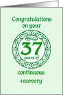 37 Year Anniversary, Green on Mint Green with a prominent number card