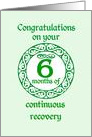 6 Month Anniversary, Green on Mint Green with a prominent number card