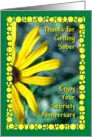 Happy Anniversary, Eleven Years Yellow flower, card