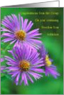 Congratulations, From the Group, Sixteen Years, New England Aster, card