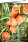 18 Years Happy Anniversary We Harvest our Future card
