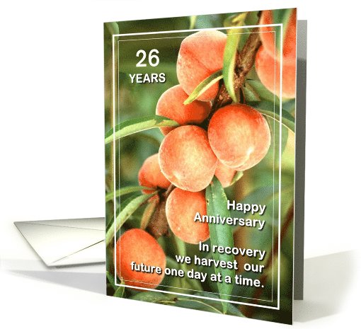 Custom Card 26 Years Happy Anniversary We Harvest our Future card