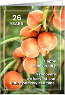 Custom Card 26 Years Happy Anniversary We Harvest our Future card