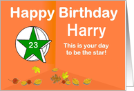 Happy Birthday 23 Years Star, Falling leaves Customizable Card