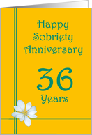 36 years Happy Sobriety Anniversary, White Flower card