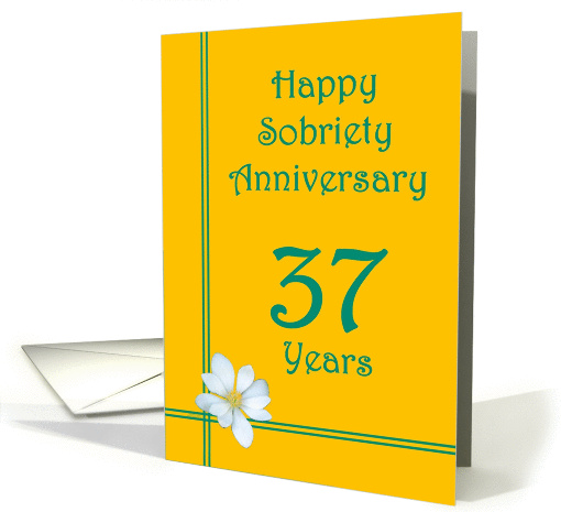 37 years Happy Sobriety Anniversary, White Flower card (1255480)